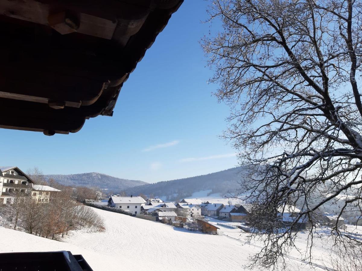 Ferienwohnung Freudensee Im Bayerischen Wald - Pool, Sauna Hauzenberg Exteriör bild