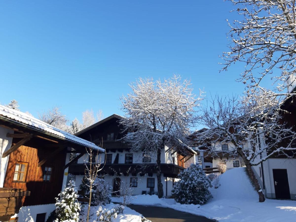 Ferienwohnung Freudensee Im Bayerischen Wald - Pool, Sauna Hauzenberg Exteriör bild